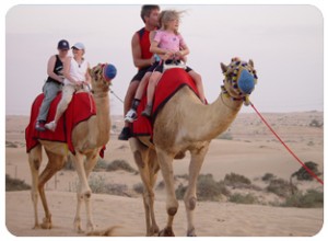 adventure dubai, camel ride dubai, Wadi bih Adventure, Falcon show dubai, Sand-boarding-Dubai, Hatta Pools, Belly dance show dubai