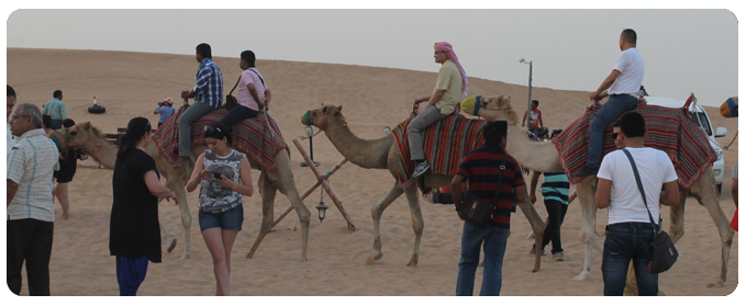 camel ride dubai, camel farm dubai, camel riding dubai, desert safari dubai, camel watching dubai,camel ride in dubai - 05