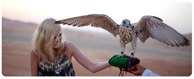 Falcon show Dubai | Desert Sand Dune Safari Dubai